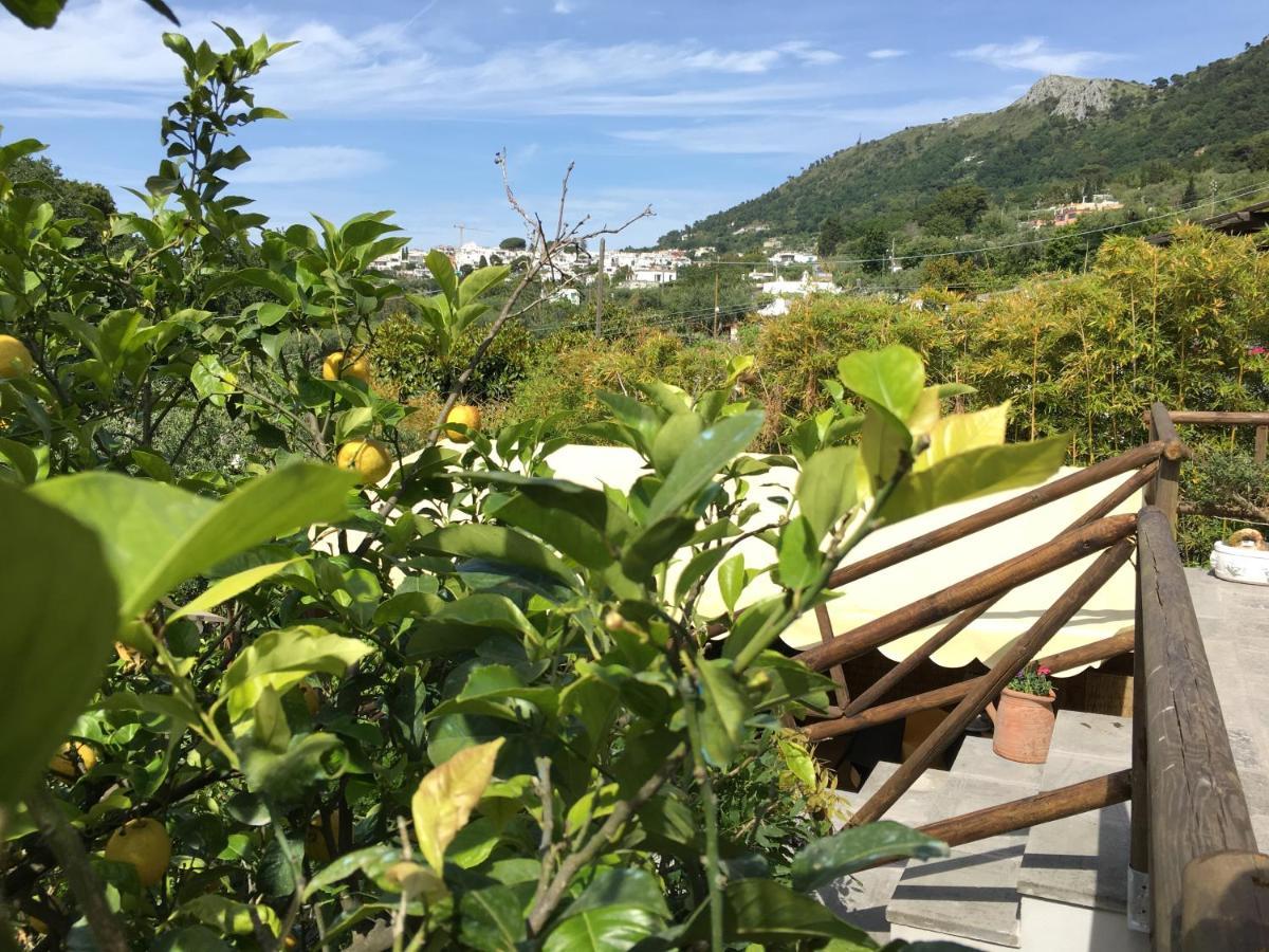 Relais Villa Anna 아나카프리 외부 사진