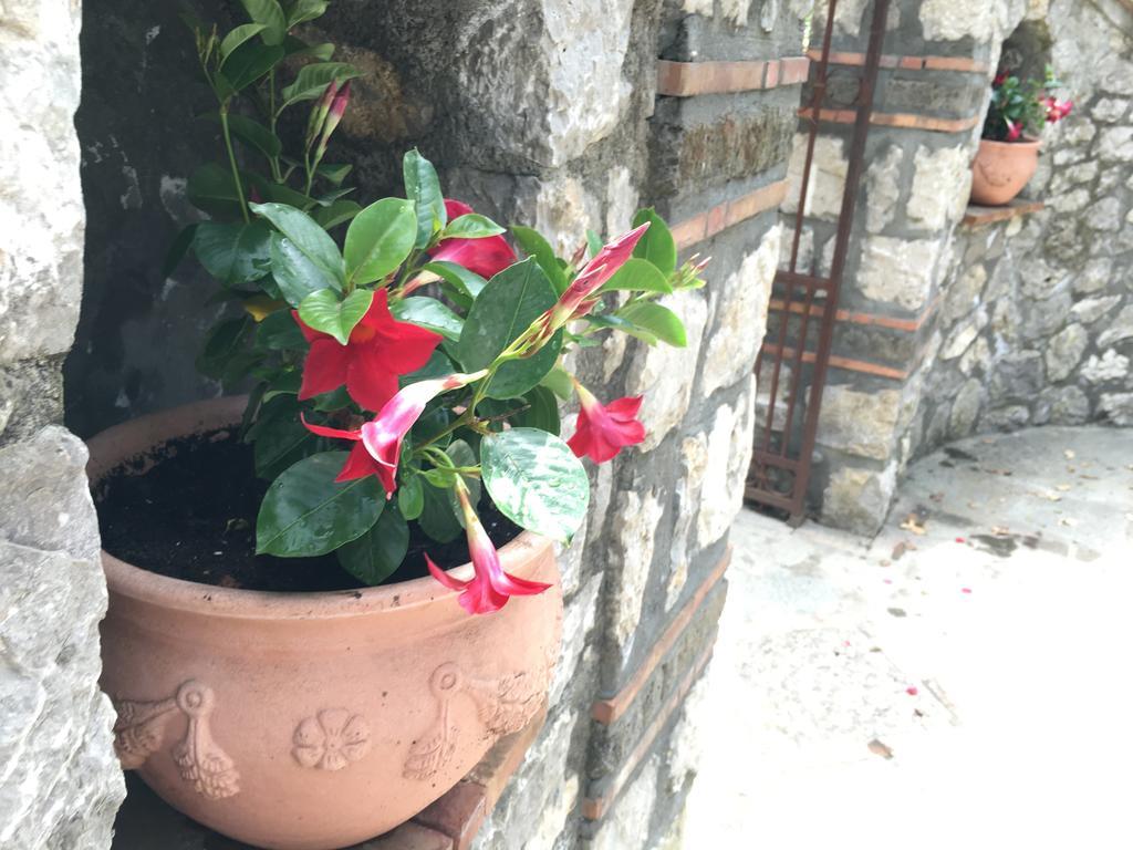 Relais Villa Anna 아나카프리 외부 사진